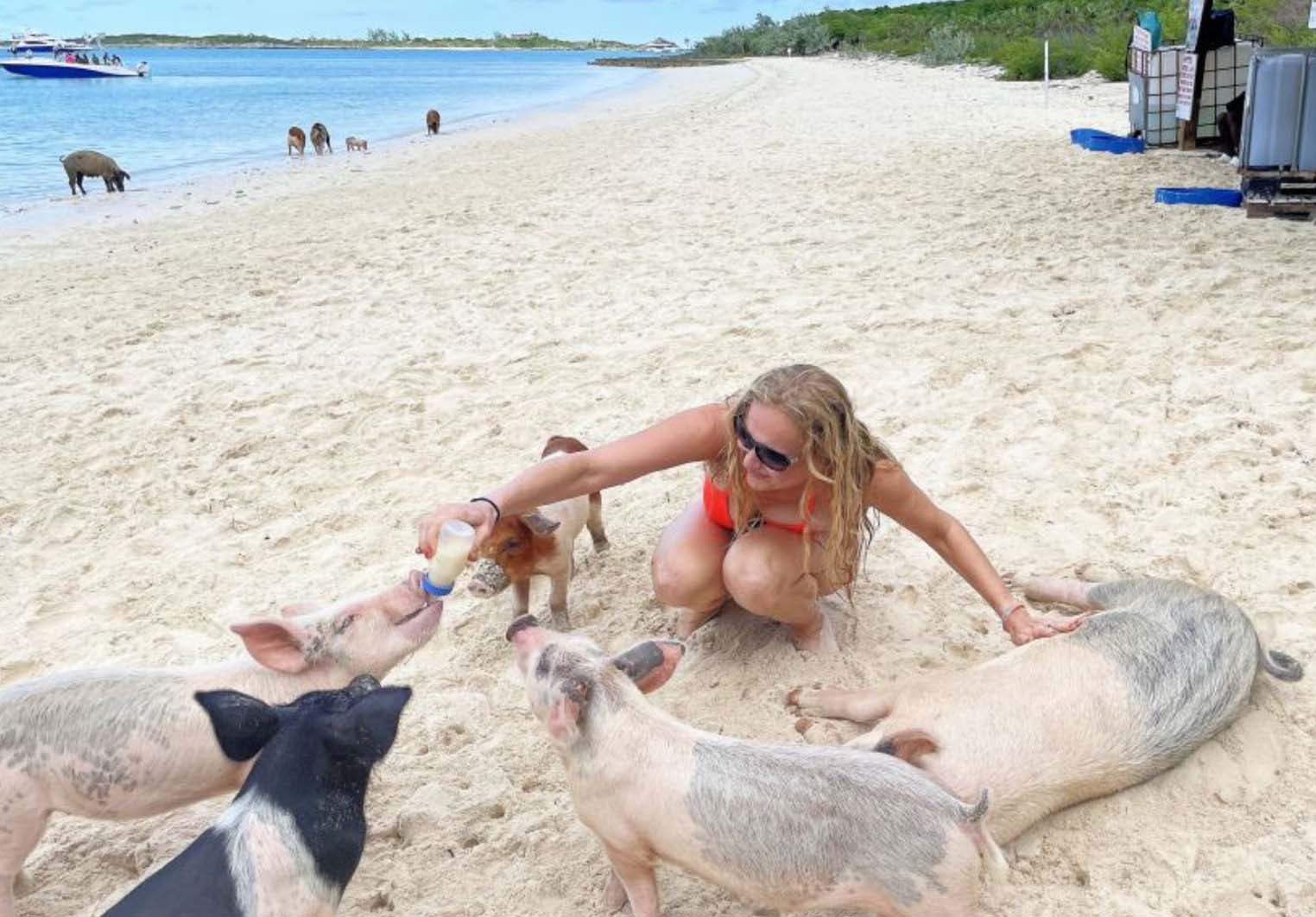 All the information you need to know before visiting Pig Beach in the Bahamas.